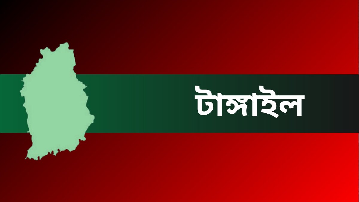 ত্রয়োদশ জাতীয় সংসদ নির্বাচন: টাঙ্গাইলের তিনটি আসনে বিএনপির ৬ বিদ্রোহী প্রার্থী মনোনয়নপত্র সংগ্রহ