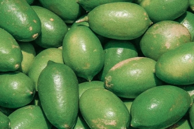 রমজানের শুরুতেই টাঙ্গাইলে লেবুসহ নিত্যপণ্যের দাম বাড়তি, চাপে ক্রেতারা