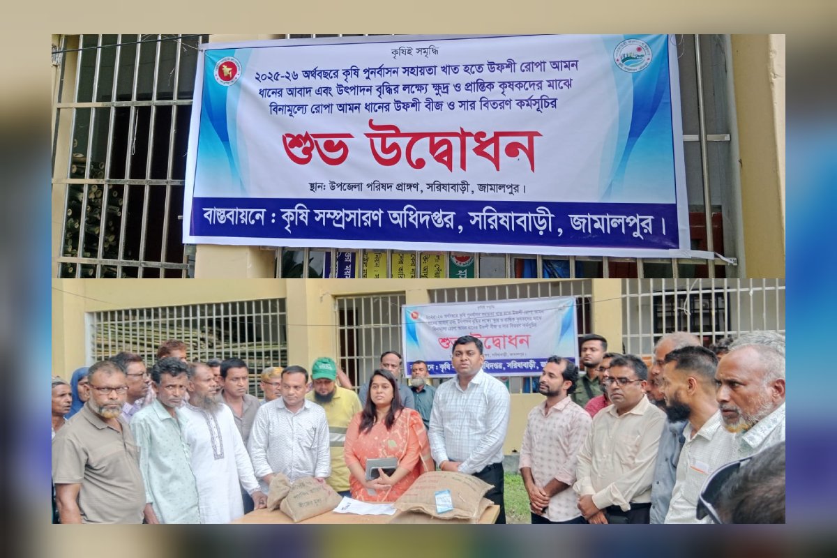 সরিষাবাড়িতে ২০২৫-২০২৬ অর্থবছরের কৃষি প্রণোদনা কর্মসূচির উদ্বোধন, ক্ষুদ্র ও প্রান্তিক কৃষকদের মাঝে বিনামূল্যে আমন বীজ ও সার বিতরণ