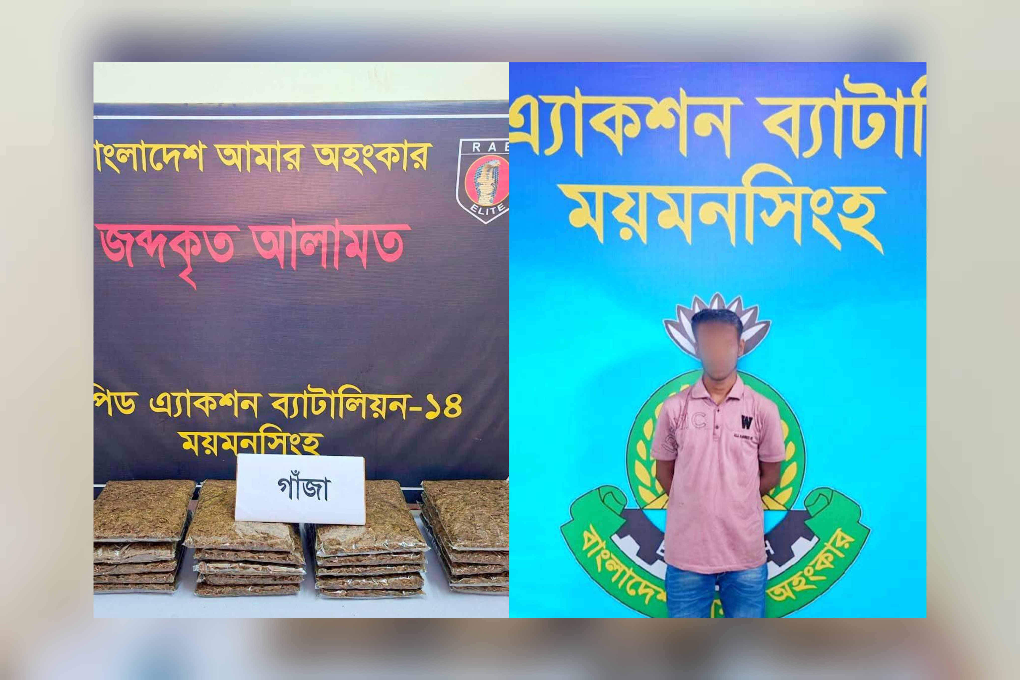 র‌্যাব-১৪-এর অভিযানে ১০ কেজি গাঁজাসহ মাদককারবারি গ্রেফতার