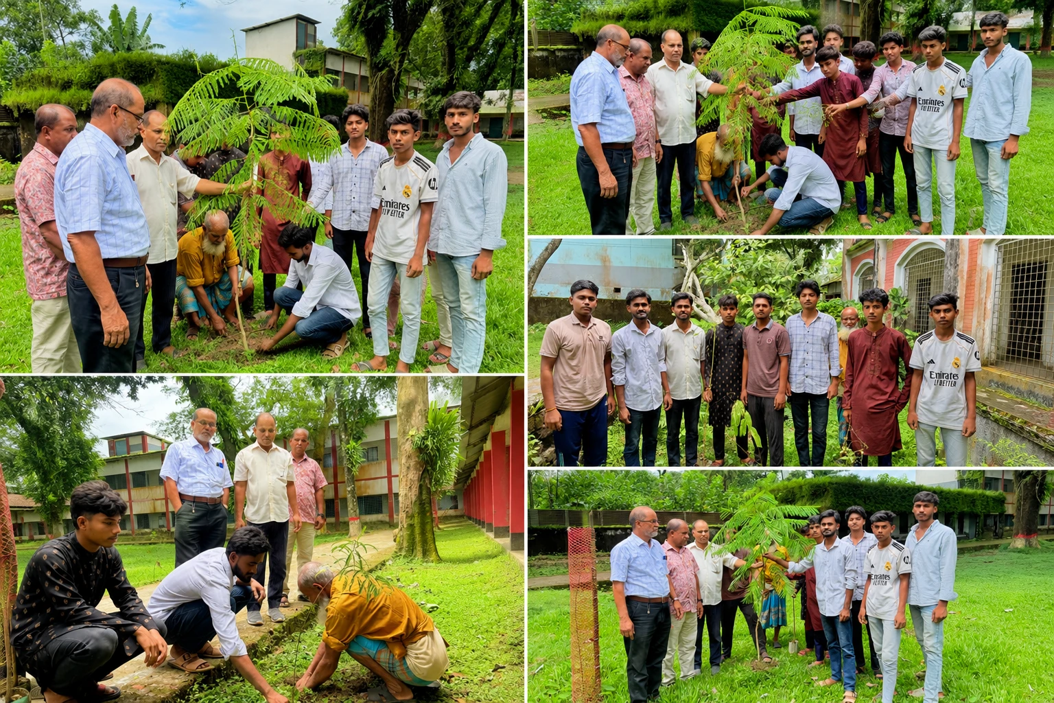 ক্যাম্পাস সবুজায়নে বিশেষ উদ্যোগ: ছাত্রদল নেতা ঝলকের নেতৃত্বে বৃক্ষরোপণ