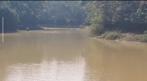 টাঙ্গাইলের মধুপুর বনাঞ্চলে গড়গড়িয়া লেক সম্প্রসারণকে কেন্দ্র করে বন বিভাগের বিরুদ্ধে গারো সম্প্রদায়ের প্রতিবাদ