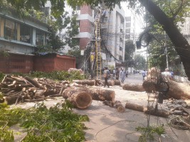 ঝড়ে গাছ উপড়ে বৈদ্যুতিক লাইনের ওপর, গুলশানে বিদ্যুৎ সরবরাহ ব্যাহত