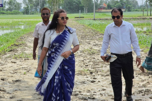ধনবাড়ীতে নতুন নির্মিত মাটির রাস্তা পরিদর্শনে ইউএনও