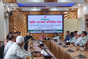 ধনবাড়ীতে উপজেলা আইন-শৃঙ্খলা কমিটির সভা অনুষ্ঠিত