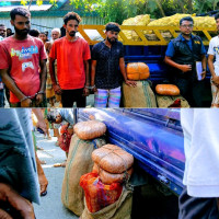আলুর আড়ালে চলত ক্যানাবিস ব্যবসা গোপালপুরে ৪০ কেজি গাঁজাসহ আটক ৩