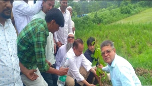 সিংগাইরে বিএনপির ৪৮তম প্রতিষ্ঠাবার্ষিকীতে বৃক্ষরোপণ কর্মসূচি