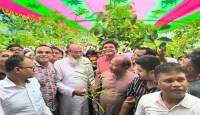 গোপালপুরে “বৃক্ষরোপণ কর্মসূচি-২০২৫” পালিত — শিক্ষার্থীদের মাঝে পরিবেশ সচেতনতা ছড়ালো বিএনপি